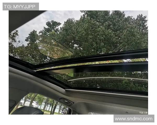 武汉飞盘队团队协作深度解析与其他队伍的对比研究