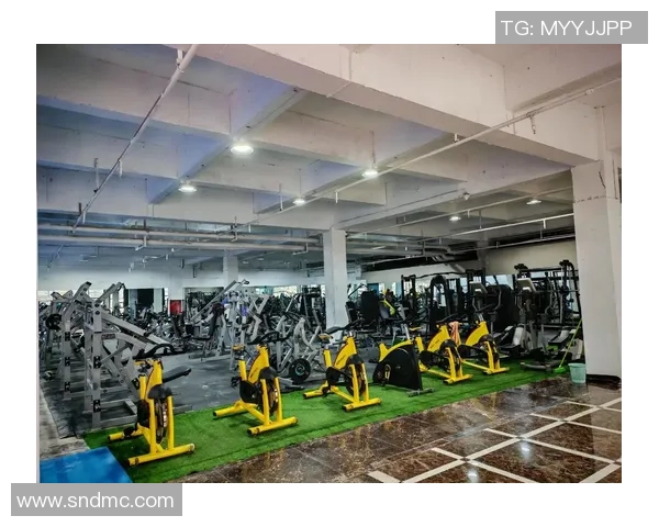 篮球装备选购指南：必备训练器材推荐与使用技巧分享